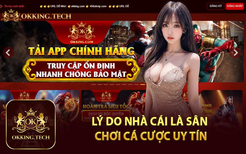 Lý Do Nhà Cái Là Sân Chơi Cá Cược Uy Tín